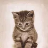 kiticeniza7