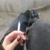 ._fi22