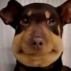 bobthebobbest0