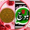 wazeerali8938