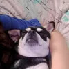 ._kiaraaa_._