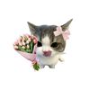 ainytl.mqddsyy1