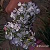 user9311947540833