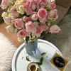 halema.77