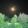 5xh____