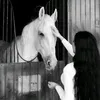 k_ok199