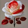 aman.ullah0451