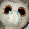 monkey_2999