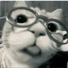just.nora_lol