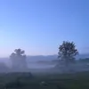 tinutadudu