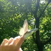 www.tiktok.com.helen43