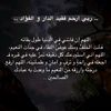kuwait_camell