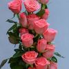 safiyo.maxamud.sh6