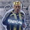 fenercannn