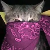 gert_123