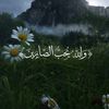 user0105446101
