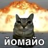 mbzk11