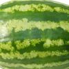 its_watermelon5