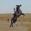 صـياد🦅 النسور🦅