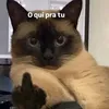 rlk_vinix77