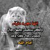 user495043720083