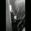 player_negma