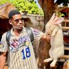 brunooficiel