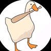 mrducgrf6ro