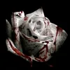 evelyn_g333