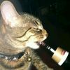 briley_jade0447