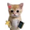 servo.de.cristo22