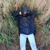 jheryandoo