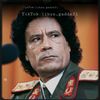 prince.alawlaki