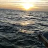 nh.thnh.vng333