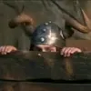 theewhoyearnswillearn