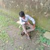 saimvai322