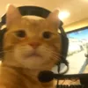 nyang0_1
