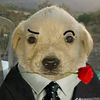rodolforodolfo74