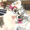 akun.gabutt662