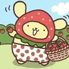 .pompomashlu