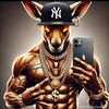 alexandee050