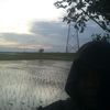 edy190191