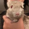 moss_kittyy