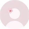 holly_028