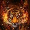 user91410631740334