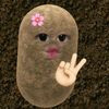 hii_inchipaa