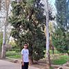 ali.b039