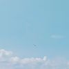 nadaa_0128