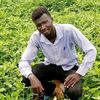 user428314021666