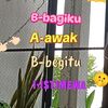 lyz_312